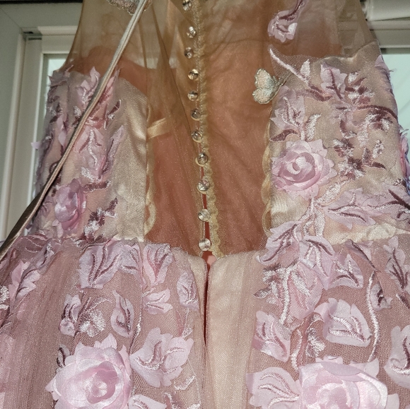 LanTing Pink Butterfly Appliqué Prom Dress - Picture 3 of 5